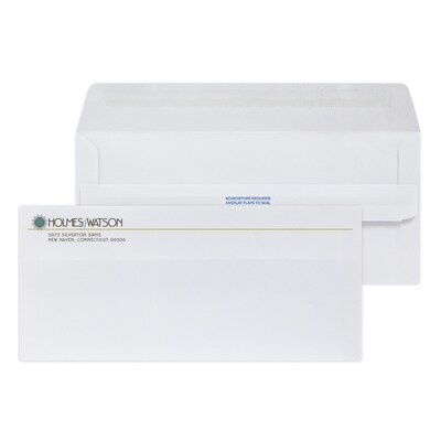 Custom Full Color #10 Self Seal Envelopes, 4 1/8" x 9 1/2", 4 1/8" x 9 1/2", 24# White Wove, 250 / Pack