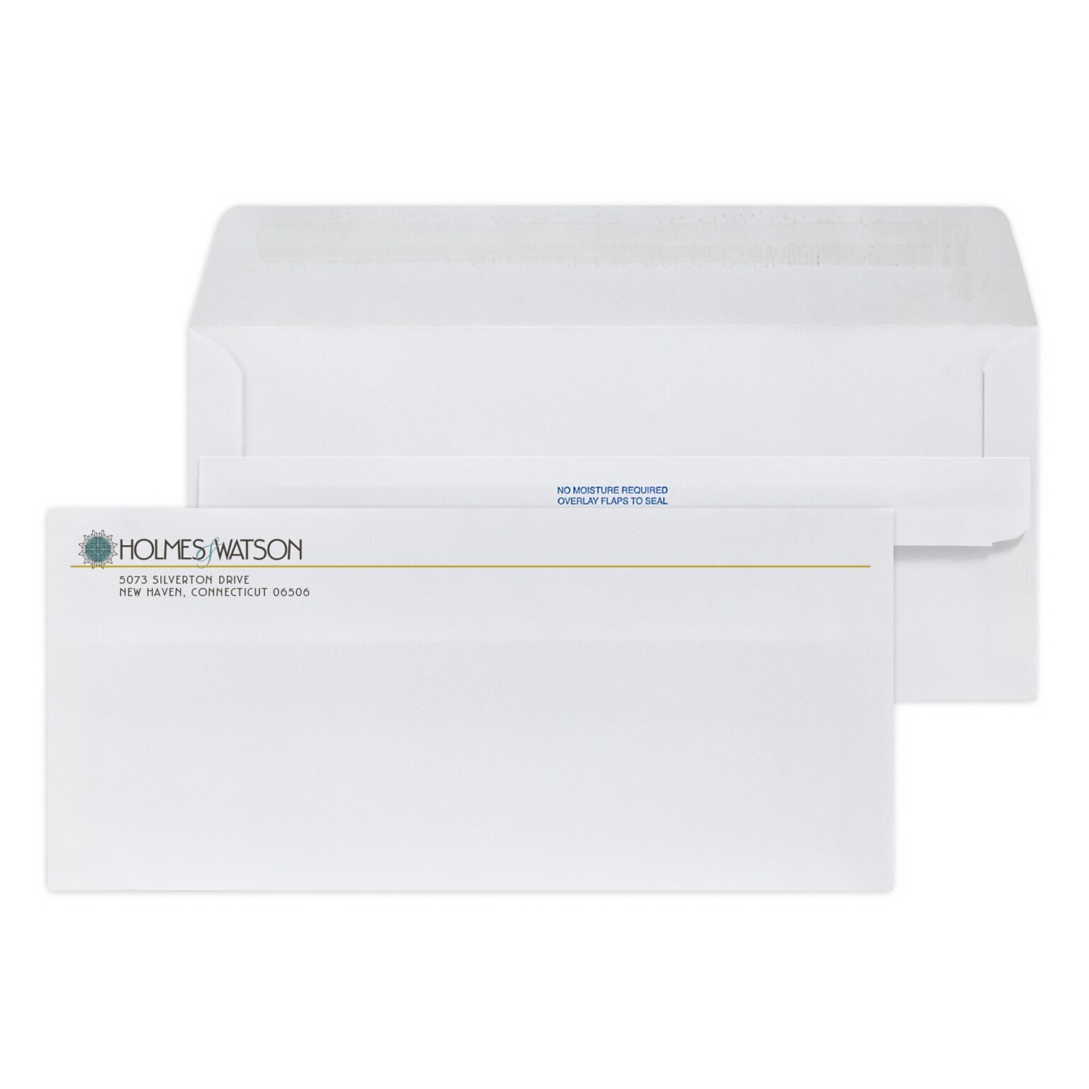 Custom Full Color #10 Self Seal Envelopes, 4 1/8 x 9 1/2, 4 1/8 x 9 1/2, 24# White Wove, 250 / Pack