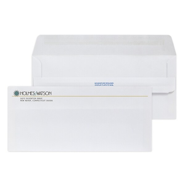 Custom Full Color #10 Self Seal Envelopes, 4 1/8 x 9 1/2, 4 1/8 x 9 1/2, 24# White Wove, 250 / Pack