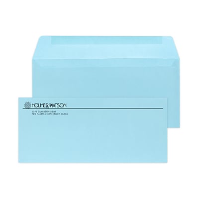 Custom #9 Standard Envelopes, 3 7/8 x 8 7/8, 24# Blue Wove, 1 Standard Ink, 250 / Pack