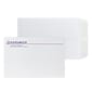 Custom 6" x 9" Standard Catalog Envelopes, 28# White Wove, 2 Custom Inks, 250 / Pack