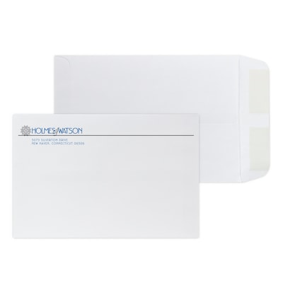 Custom 6 x 9 Standard Catalog Envelopes, 28# White Wove, 2 Standard Inks, 250 / Pack