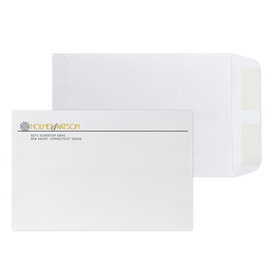 Custom 6 x 9 Standard Catalog Envelopes, 28# White Wove, 1 Standard and 1 Custom Inks, 250 / Pack