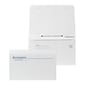 Custom 4-1/4"x6-1/2" Double-Duty Statement Std Remittance Envelopes with Security Tint, 24# White Wove, 1 Custom Ink, 250/Pack