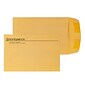 Custom 6" x 9" Standard Catalog Envelopes, 28# Brown Kraft, 1 Standard Ink, 250 / Pack