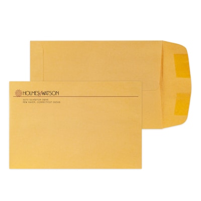 Custom 6 x 9 Standard Catalog Envelopes, 28# Brown Kraft, 2 Custom Inks, 250 / Pack