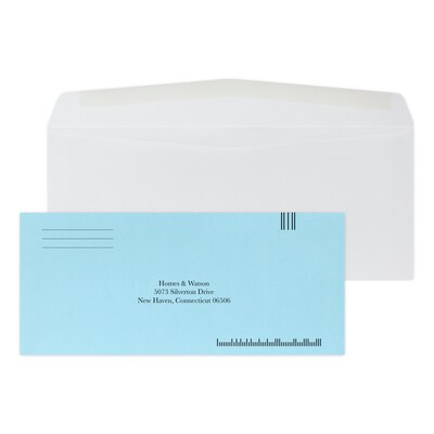 Custom Inserted Envelope Pack, #10 Regular Envelope and #9 Barcode Blue Reply Envelope, 1 Standard Ink Each, 500/Pack