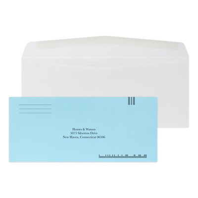 Custom Inserted Envelope Pack, #10 Regular Envelope and #9 Barcode Blue Reply Envelope, 1 Standard I