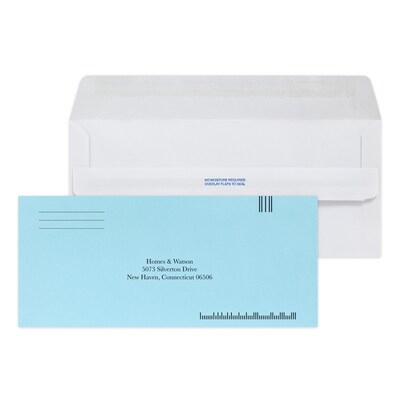 Custom Inserted Envelope Pack, #10 Peel and Seal Window Envelope and #9 Barcode Blue Reply Env, 1 St