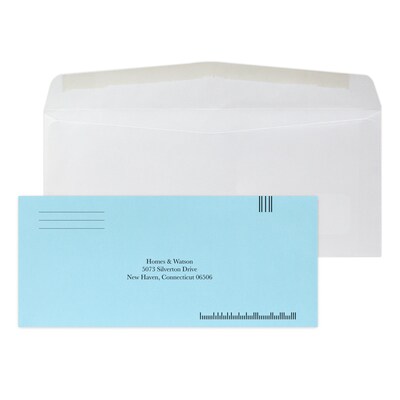 Custom Inserted Envelope Pack, #10 Window Envelope and #9 Barcode Blue Reply Envelope, 1 Standard In