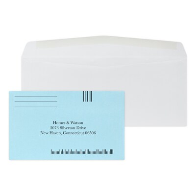 Custom Inserted Envelope Pack, #10 Regular Envelope and #6 Barcode Blue Remittance Envelope, 1 Standard Ink Each, 500/Pack
