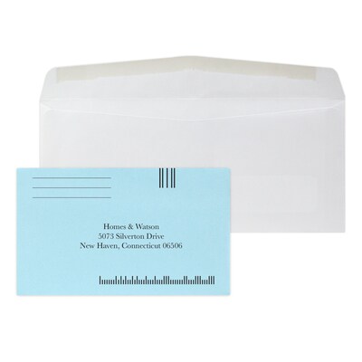 Custom Inserted Envelope Pack, #10 Window Envelope and #6 Barcode Blue Remittance Envelope, 1 Standard Ink Each, 500/Pack