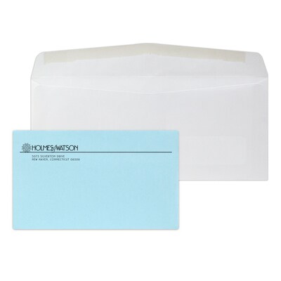 Custom Inserted Envelope Pack, #10 Window Envelope and #6 Blue Remittance Envelope, 1 Standard Ink E