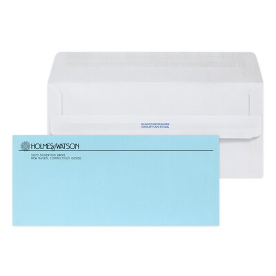 Custom Inserted Envelope Pack, #10 Peel and Seal Window Envelope and #9 Blue Reply Envelope, 1 Stand