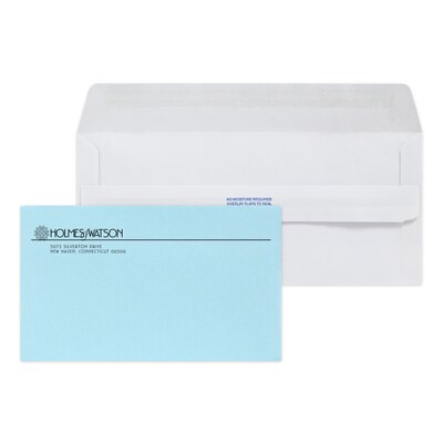 Custom Inserted Envelope Pack, #10 Peel and Seal Window Envelope and #6 Blue Remittance Envelope, 1