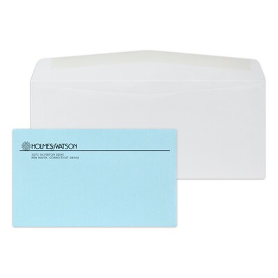 Custom Inserted Envelope Pack, #10 Regular Envelope and #6 Blue Remittance Envelope, 1 Standard Ink