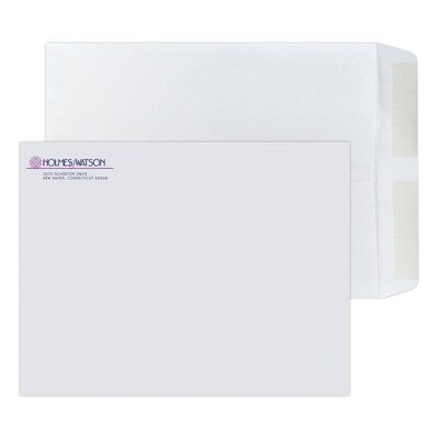 Custom 10 x 13 Standard Catalog Envelopes, 28# White Wove, 2 Custom Inks, 250 / Pack