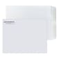 Custom 10" x 13" Standard Catalog Envelopes, 28# White Wove, 2 Custom Inks, 250 / Pack