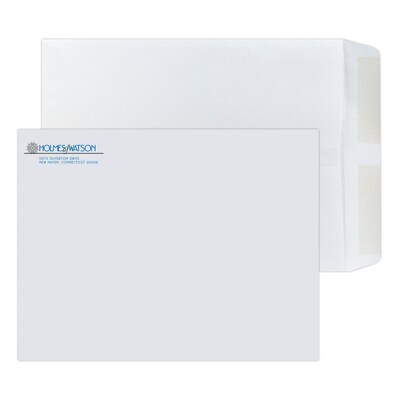 Custom 10 x 13 Standard Catalog Envelopes, 28# White Wove, 2 Standard Inks, 250 / Pack