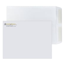 Custom 10 x 13 Standard Catalog Envelopes, 28# White Wove, 1 Standard and 1 Custom Inks, 250 / Pac