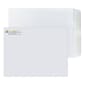 Custom 10" x 13" Standard Catalog Envelopes, 28# White Wove, 1 Standard and 1 Custom Inks, 250 / Pack