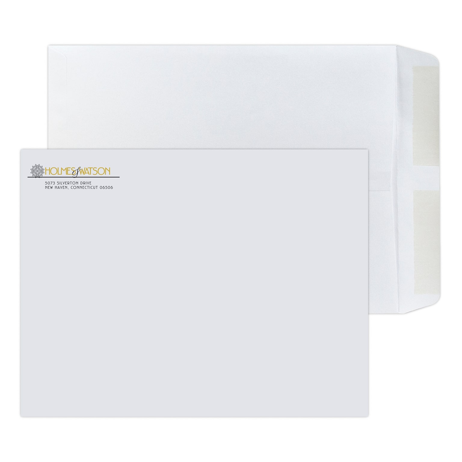 Custom 10 x 13 Standard Catalog Envelopes, 28# White Wove, 1 Standard and 1 Custom Inks, 250 / Pack