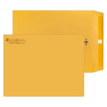 Custom 10 x 13 Standard Catalog Envelopes with Clasp Closure, 28# Brown Kraft, 1 Standard and 1 Cu