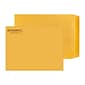 Custom 9" x 12" Standard Catalog Envelopes, 28# Brown Kraft, 1 Standard Ink, 250 / Pack