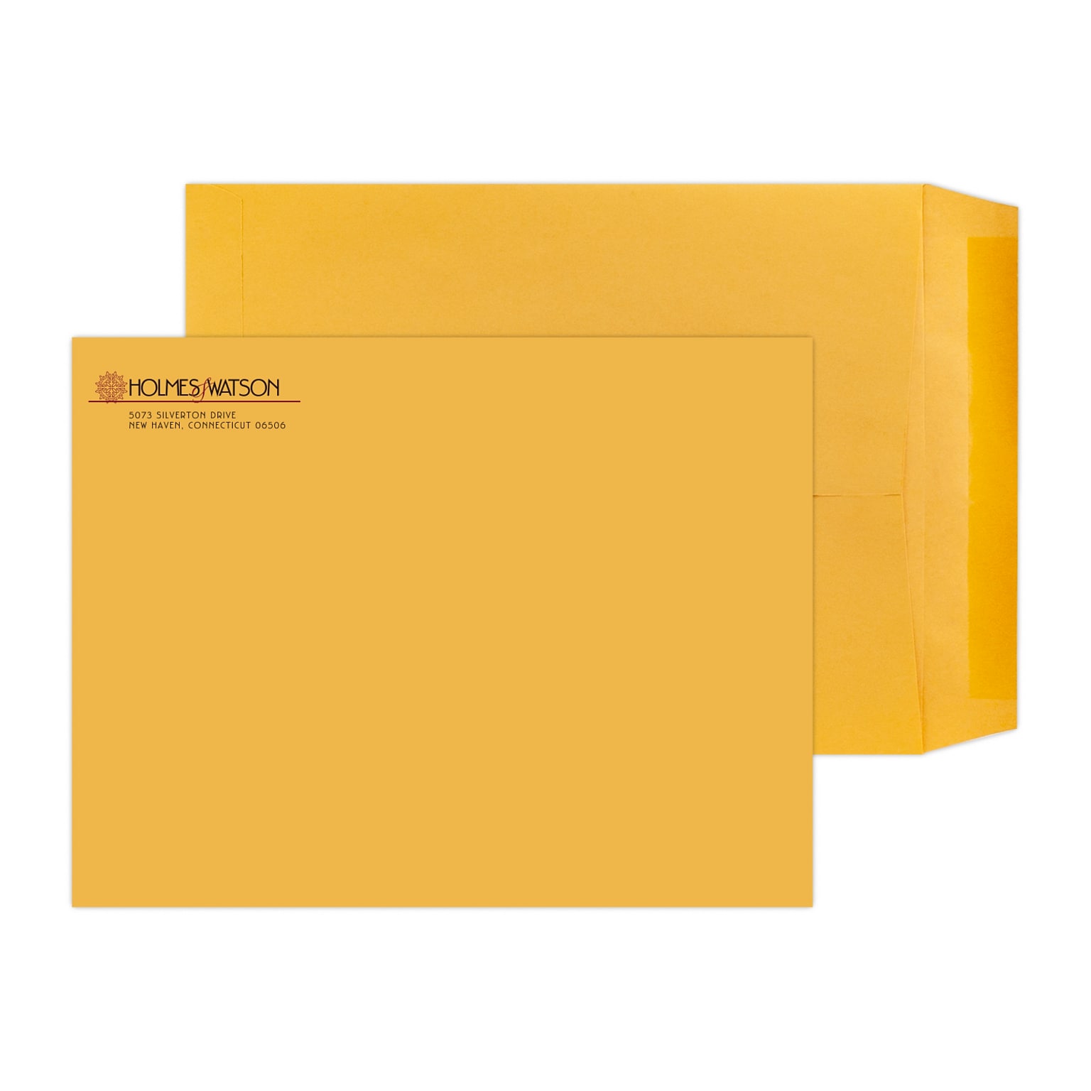 Custom 9 x 12 Standard Catalog Envelopes, 28# Brown Kraft, 2 Custom Inks, 250 / Pack