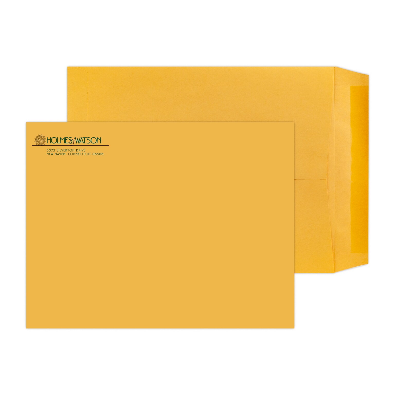 Custom 9 x 12 Standard Catalog Envelopes, 28# Brown Kraft, 2 Standard Inks, 250 / Pack