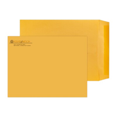 Custom 9 x 12 Standard Catalog Envelopes, 28# Brown Kraft, 1 Standard and 1 Custom Inks, 250 / Pac