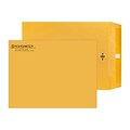 Custom 9 x 12 Standard Catalog Envelopes with Clasp Closure, 28# Brown Kraft, 1 Standard Ink, 250 / Pack