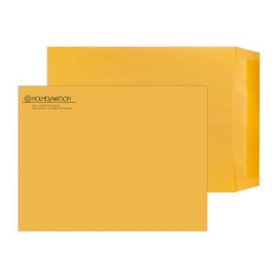 Custom 9 x 12 Standard Catalog Envelopes, 28# Brown Kraft, 1 Custom Ink, 250 / Pack