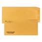 Custom 6-1/2" x 13-3/4" Standard Envelopes, 24# Brown Kraft, 1 Standard and 1 Custom Inks, 250 / Pack