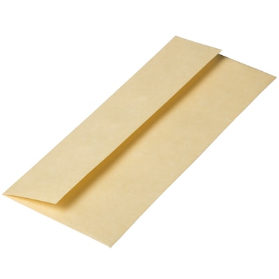 JAM Paper Open End #10 Booklet Envelope, 4 1/8" x 9 1/2", Antique Gold Parchment, 500/Pack (900906635H)