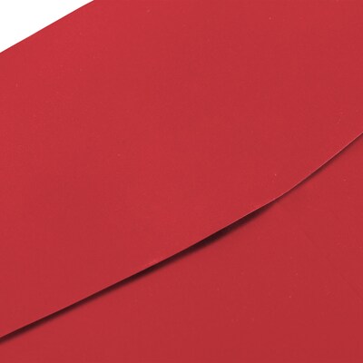 JAM Paper Open End #13 Catalog Envelope, 10" x 13", Assorted, 50/Pack (8035ASSRTD)