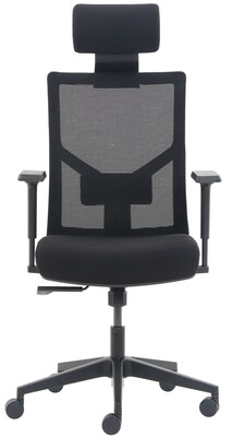 La-Z-Boy Ergonomic Mesh Swivel Task Chair, Black (60021)