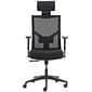 La-Z-Boy Ergonomic Mesh Swivel Task Chair, Black (60021)