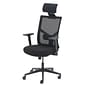 La-Z-Boy Ergonomic Mesh Swivel Task Chair, Black (60021)