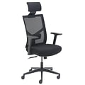 La-Z-Boy Ergonomic Mesh Task Chair, Black (60021)