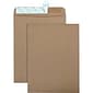 Quality Park Redi-Seal Clasp Catalog Envelope, 9" x 12", Light Brown, 100/Box (44511)
