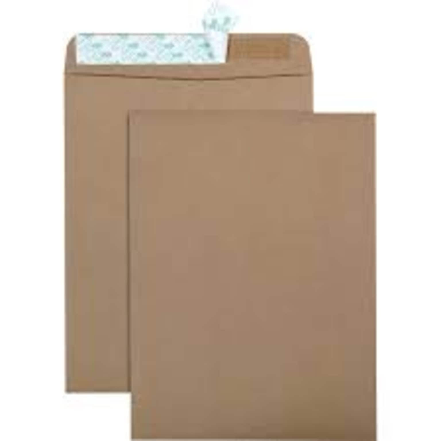 Quality Park Redi-Seal Clasp Catalog Envelope, 9 x 12, Light Brown, 100/Box (44511)