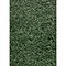 Teacher Created Resources Better Than Paper Bulletin Board Paper Roll, Green Boxwood, 4-Pack (TCR323