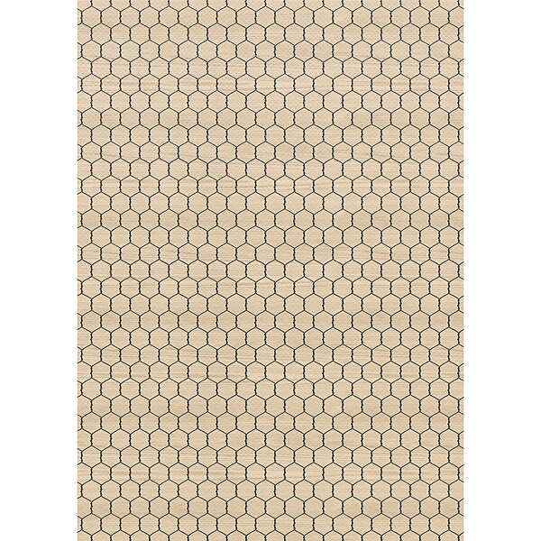 Teacher Created Resources Better Than Paper Bulletin Board Paper Roll, Chicken Wire, 4-Pack (TCR32358)