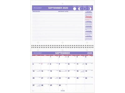 2020-2021 AT-A-GLANCE 11 x 8 Desk or Wall Calendar, White (SK16-16-21)