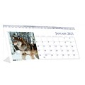 2021 House of Doolittle 4.5 x 8.5 Desk Calendar, Earthscapes Wildlife, Multicolor (3689-21)
