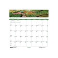 2021 House of Doolittle 12 x 12 Wall Calendar, Earthscapes Gardens of the World, Multicolor (301-21)