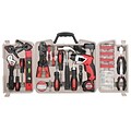 Apollo Tools Household Tool Kit with 4.8 Volt Screwdriver, 161 Piece (DT0738)