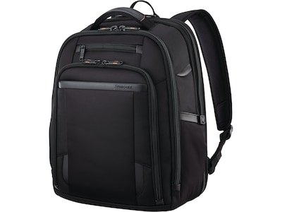 Samsonite Pro Standard Laptop Backpack, Black Nylon (126364-1041)