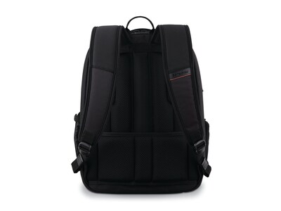 Samsonite Pro Standard Laptop Backpack, Black Nylon (126364-1041)